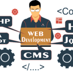 Custom Web Development Services in the USA